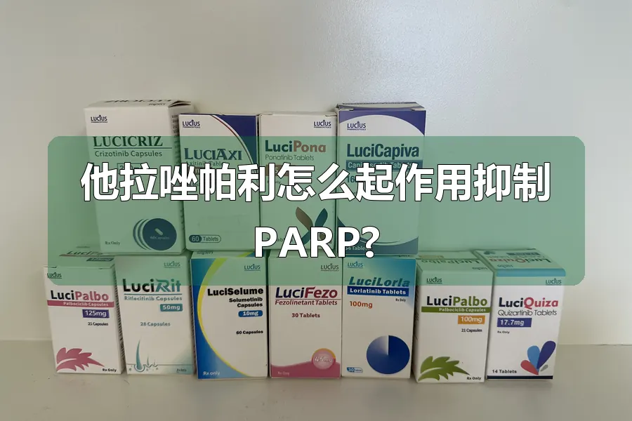 他拉唑帕利怎么起作用抑制PARP?